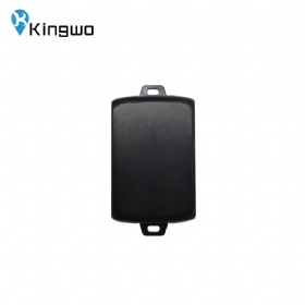 RT67-Asset GPS Tracker(LoRaWAN)